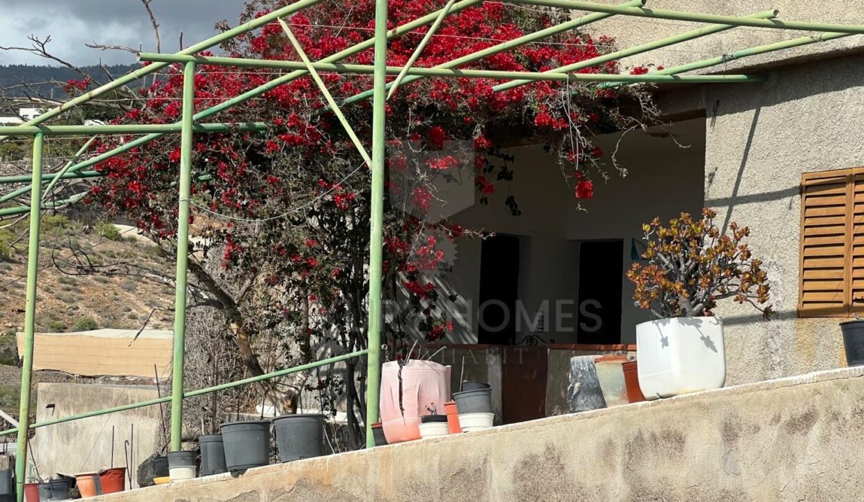 WhatsApp Image 2026-03-12 at 16.56.11 (1)