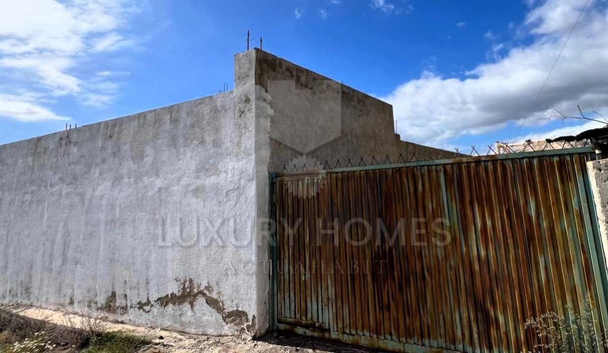 WhatsApp Image 2026-03-12 at 16.56.11