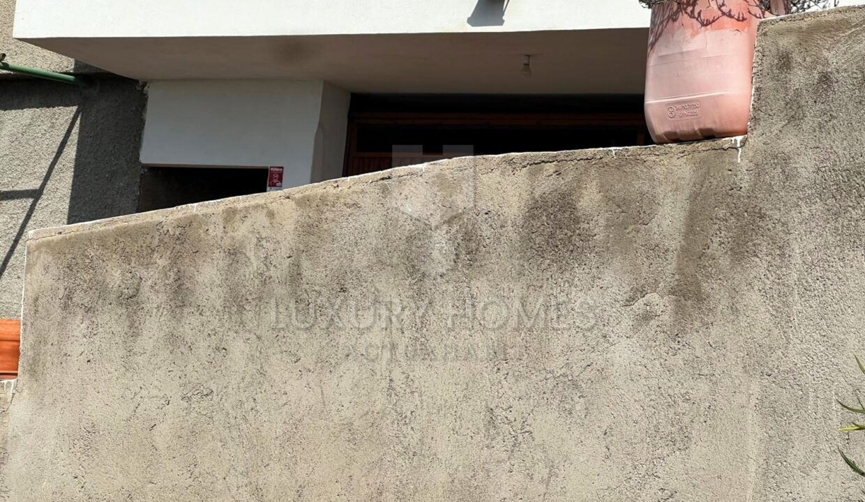 WhatsApp Image 2026-03-12 at 16.56.12