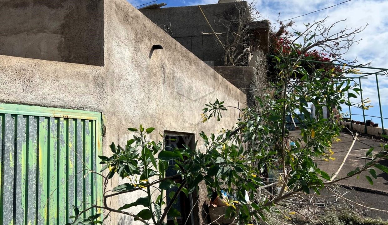 WhatsApp Image 2026-03-12 at 16.56.13 (1)