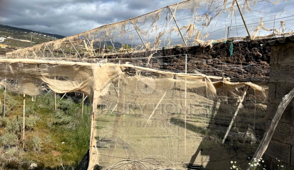 WhatsApp Image 2026-03-12 at 16.56.13 (2)