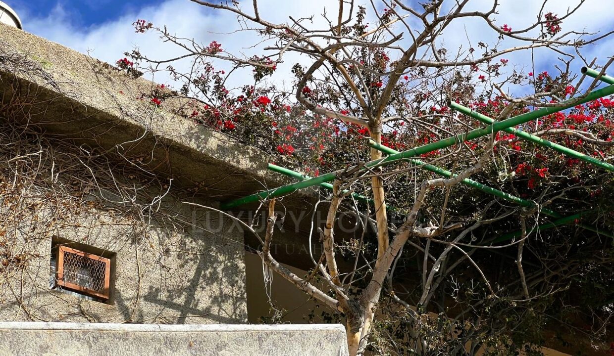 WhatsApp Image 2026-03-12 at 16.56.14 (1)