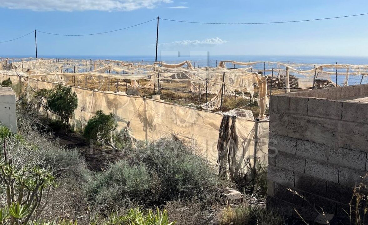 WhatsApp Image 2026-03-12 at 16.56.14 (10)