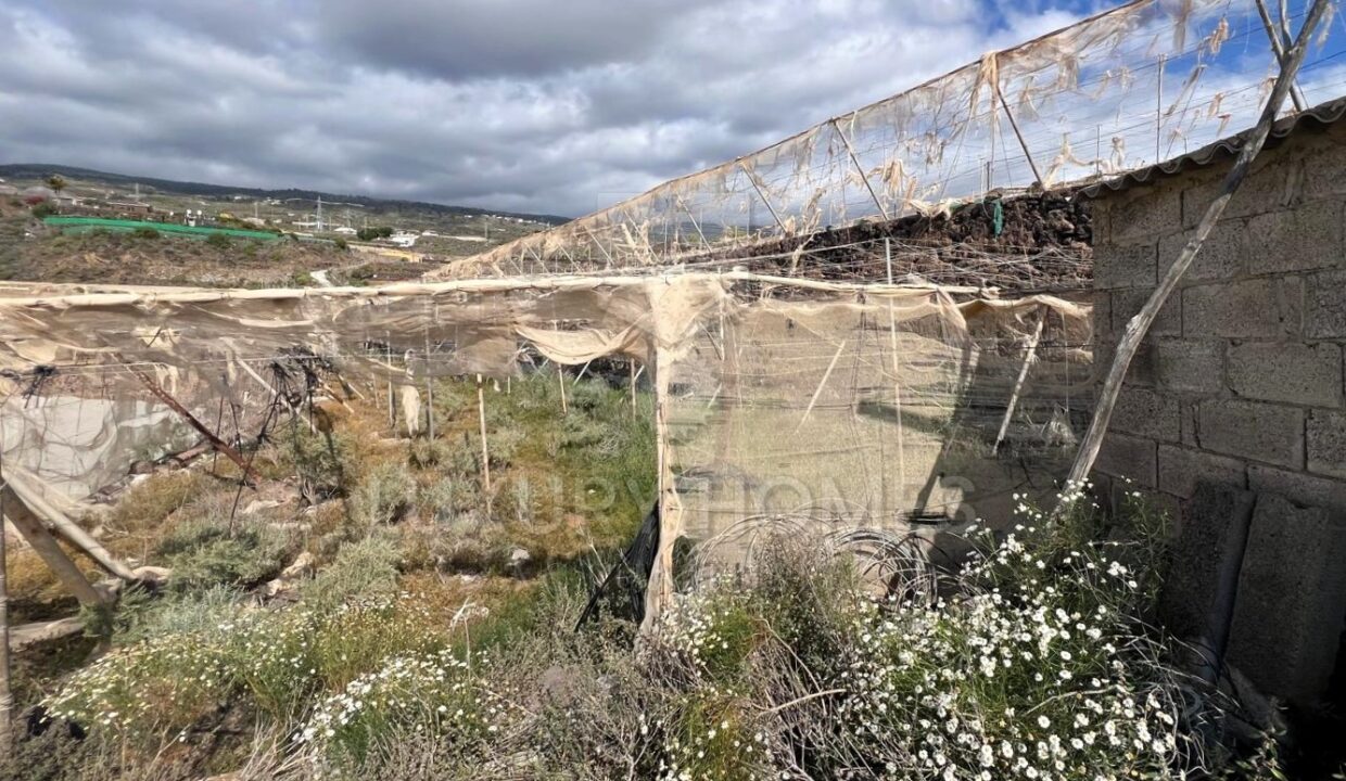 WhatsApp Image 2026-03-12 at 16.56.14