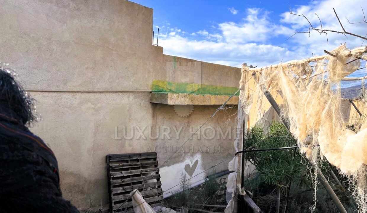 WhatsApp Image 2026-03-12 at 16.56.14 (5)