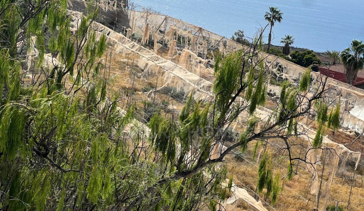 WhatsApp Image 2026-03-12 at 16.56.14 (6)