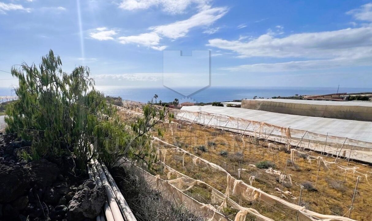 WhatsApp Image 2026-03-12 at 16.56.14 (7)