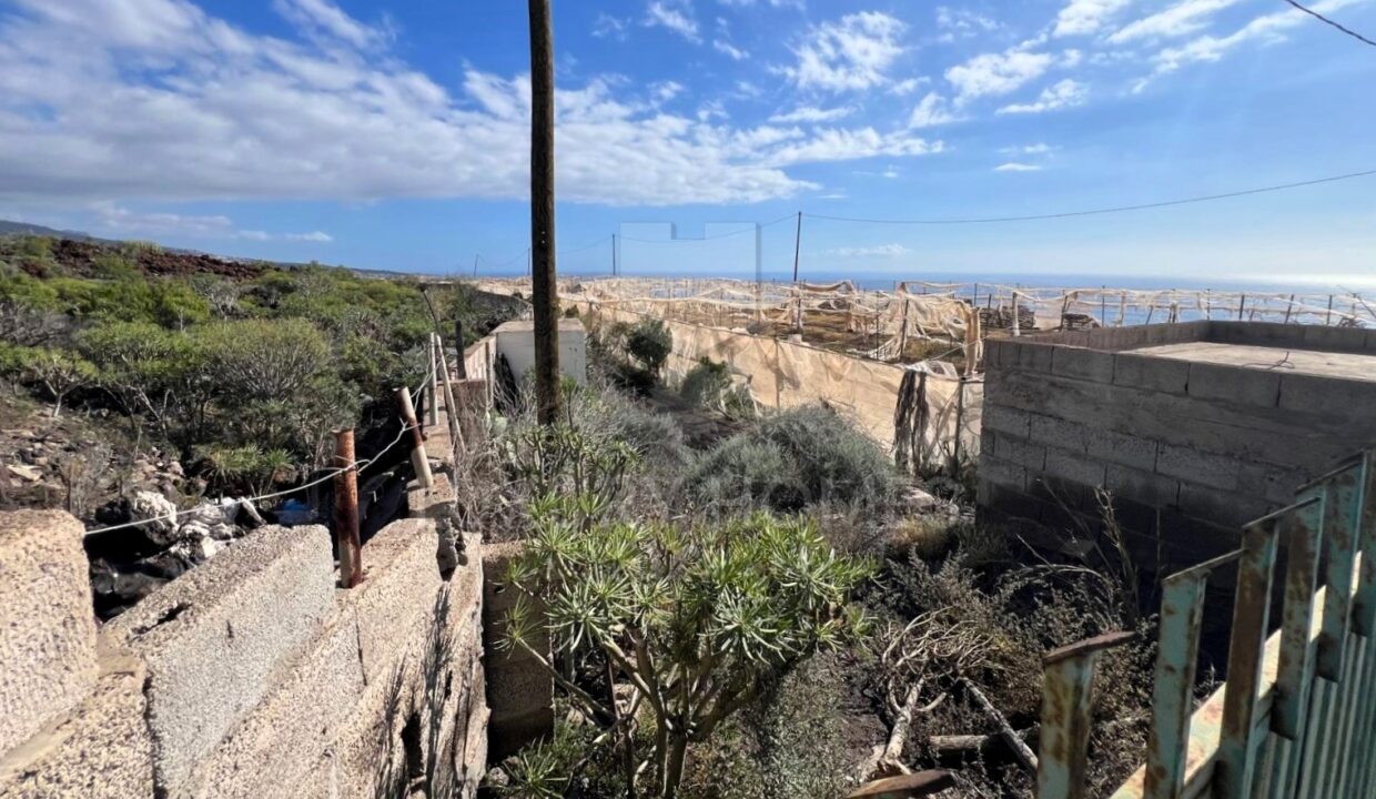 WhatsApp Image 2026-03-12 at 16.56.14 (8)