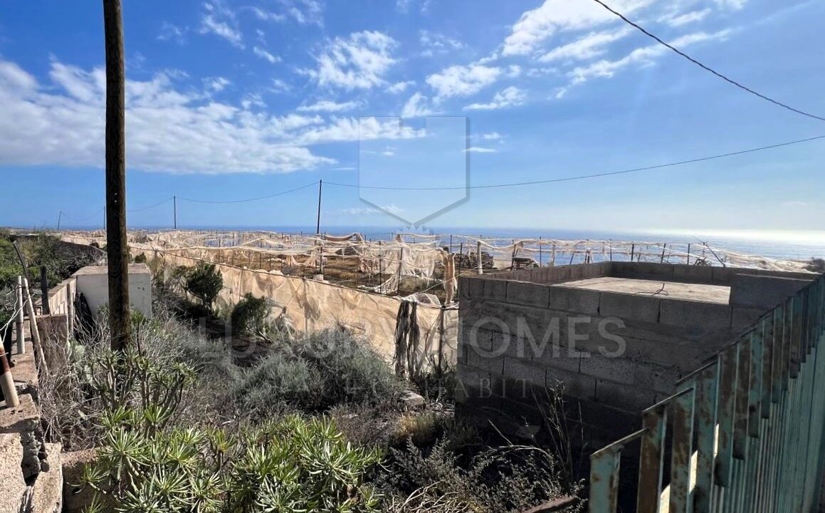 WhatsApp Image 2026-03-12 at 16.56.14 (9)