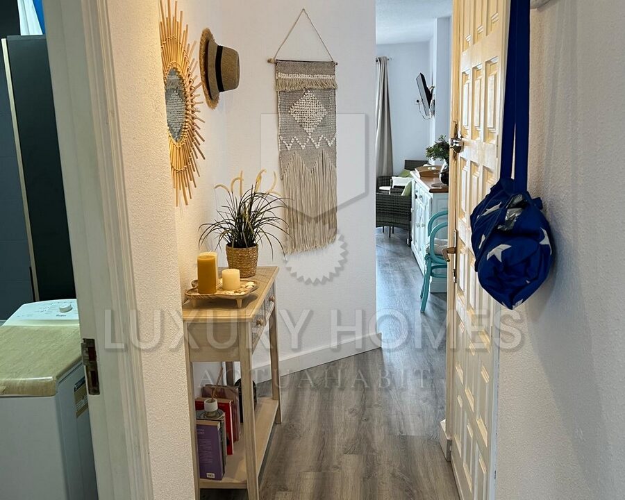 WhatsApp Image 2026-03-31 at 11.19.37